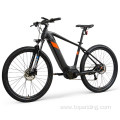 Customized electric bike all terrain